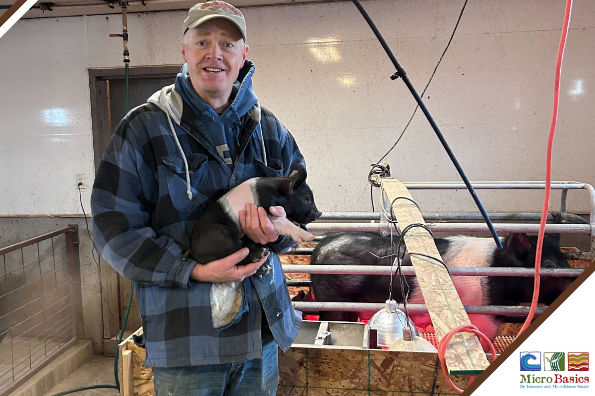 Introducing Youth to Agriculture Through 4-H Swine Projects - Interview with John Garrard