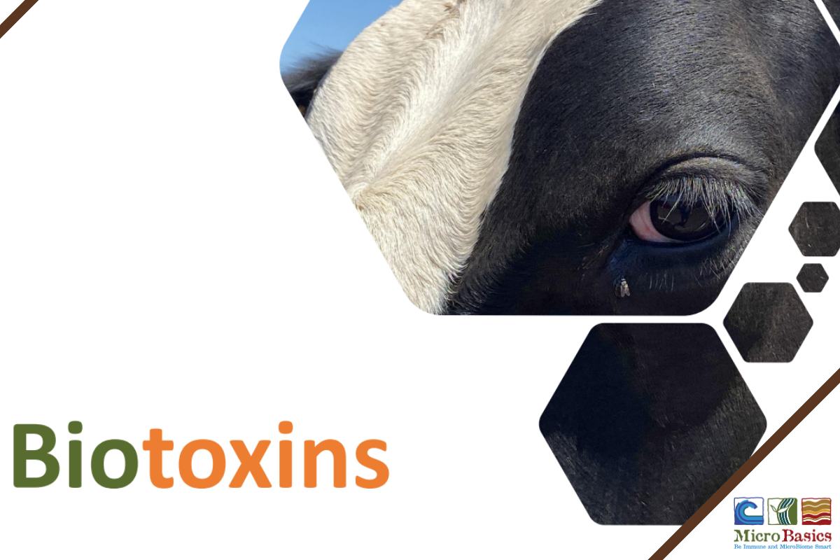 Introduction to Biotoxins