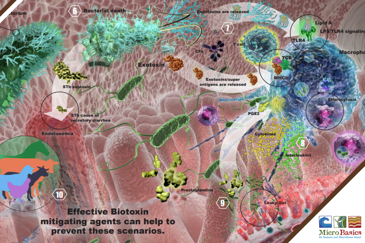 Managing Biotoxins - Endotoxins