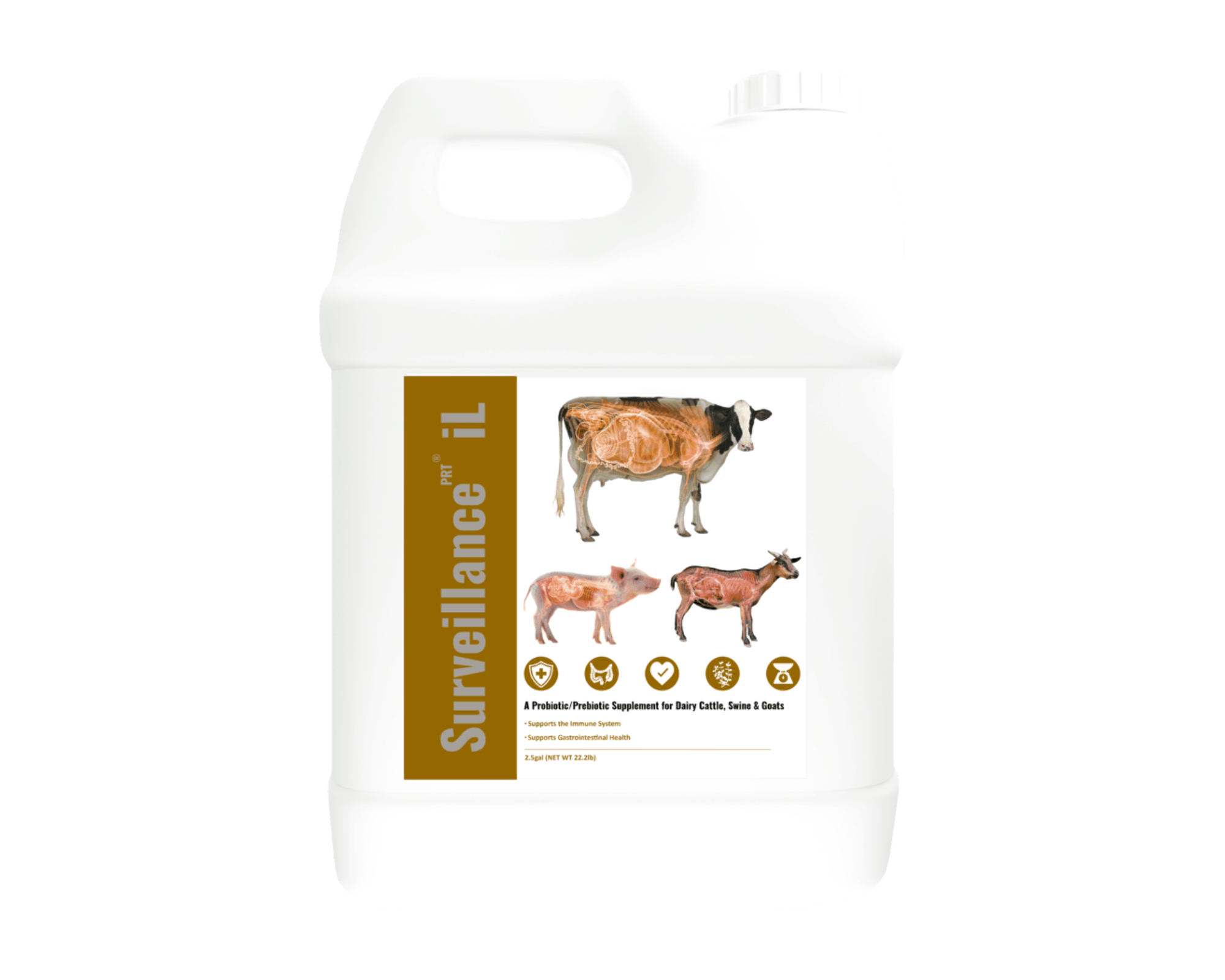 Surveillance iL (Dairy)