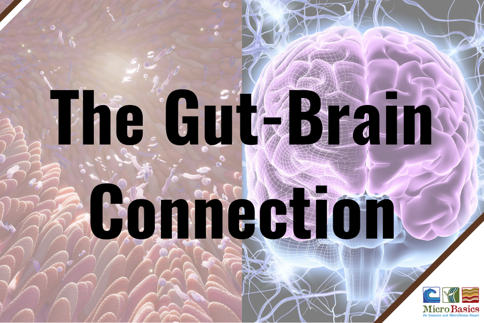 Gut-Organ Axes: The Gut-Brain Connection