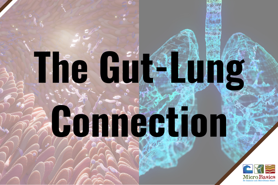 Gut-Organ Axes: The Gut-Lung Connection