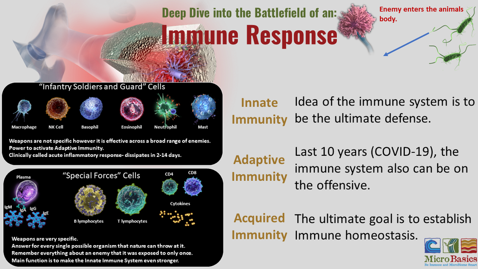 3 Levels of Immune Defense