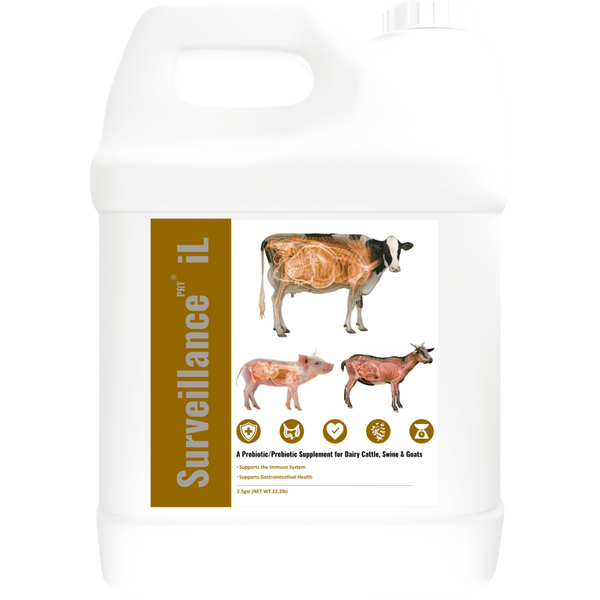 Surveillance iL (Dairy)