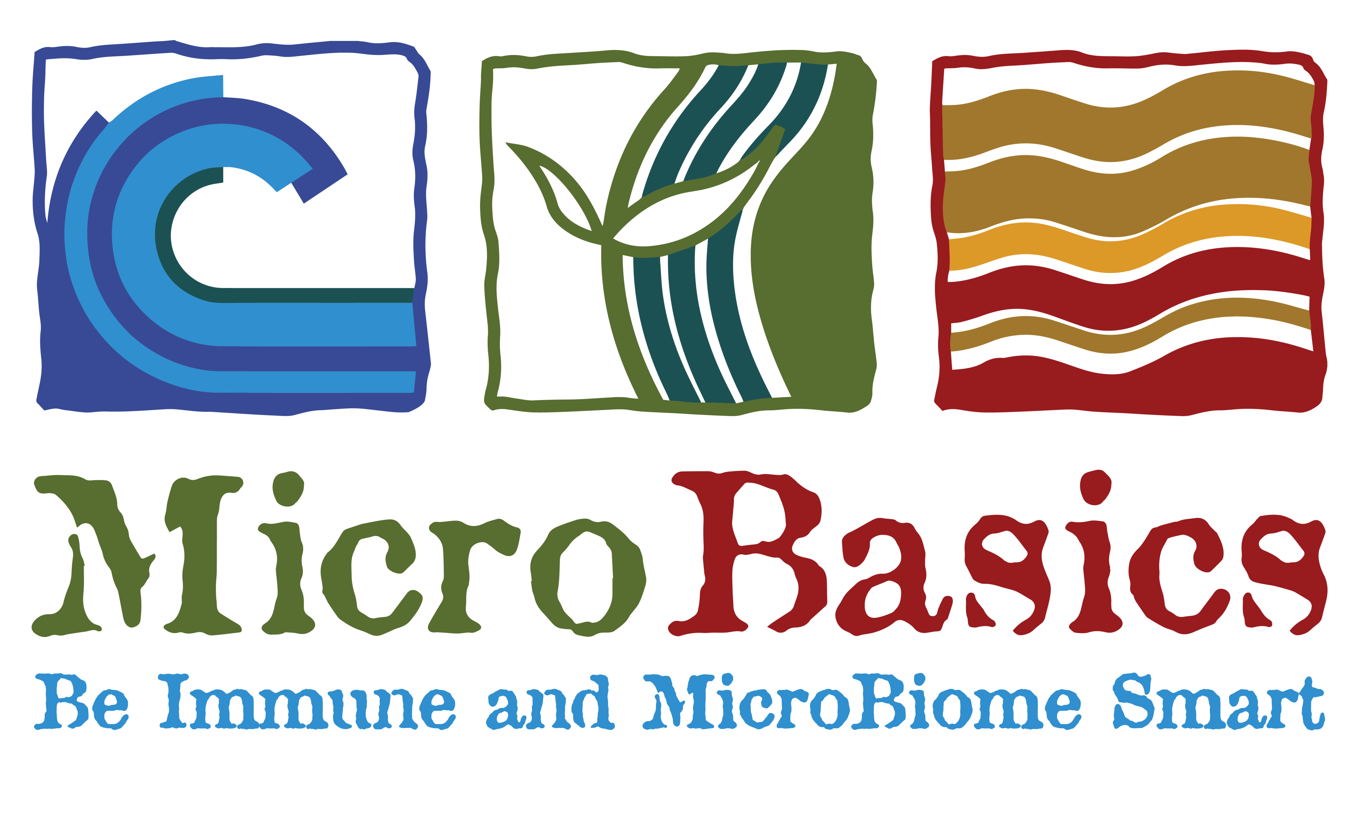MicroBasics Store